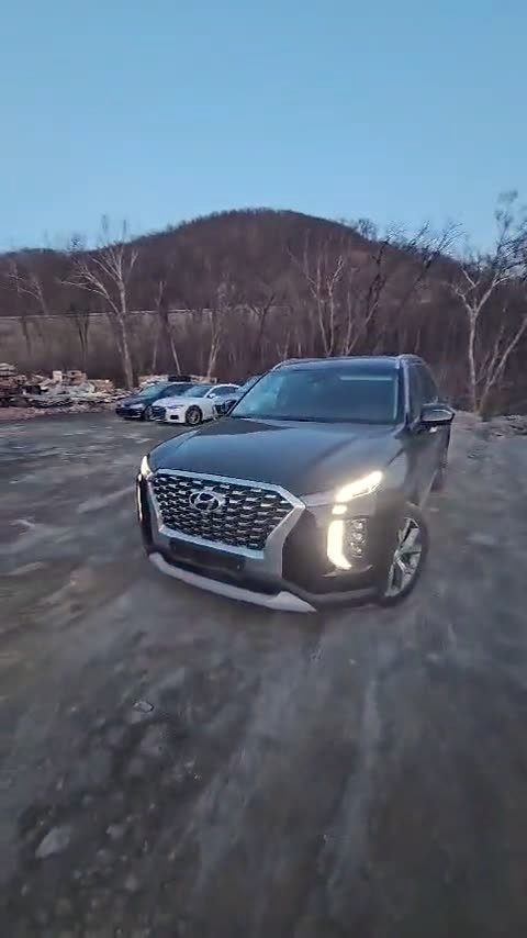 Hyundai Palisade · Владивосток · Михаил